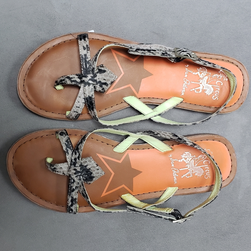 Sam Edelman Circus MAE Snake Sandal Size 6